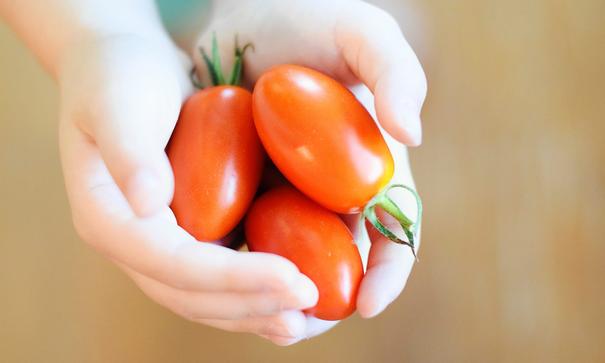 Child's hand holding tomatoes - how to get your kids to eat anything when you travel, with tips for fussy eaters